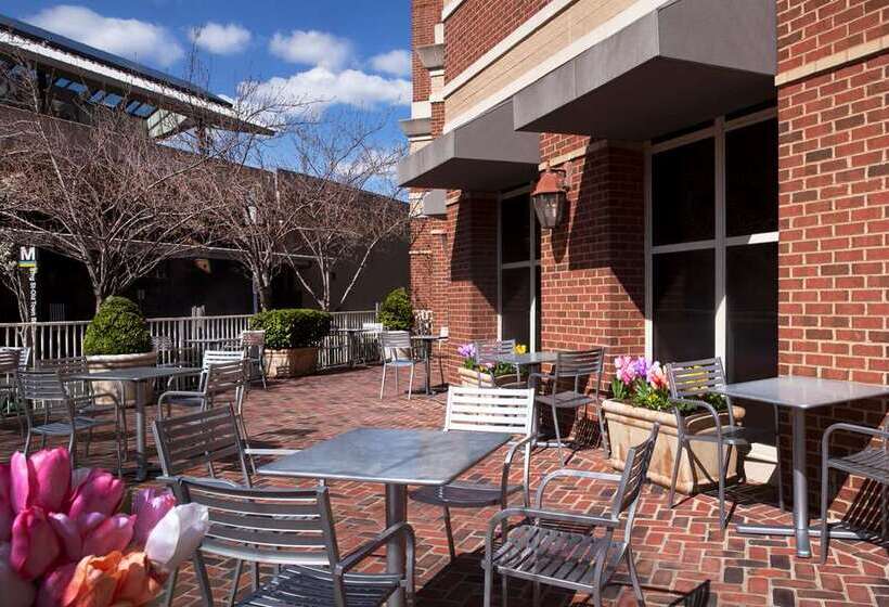 Отель Hilton Alexandria Old Town