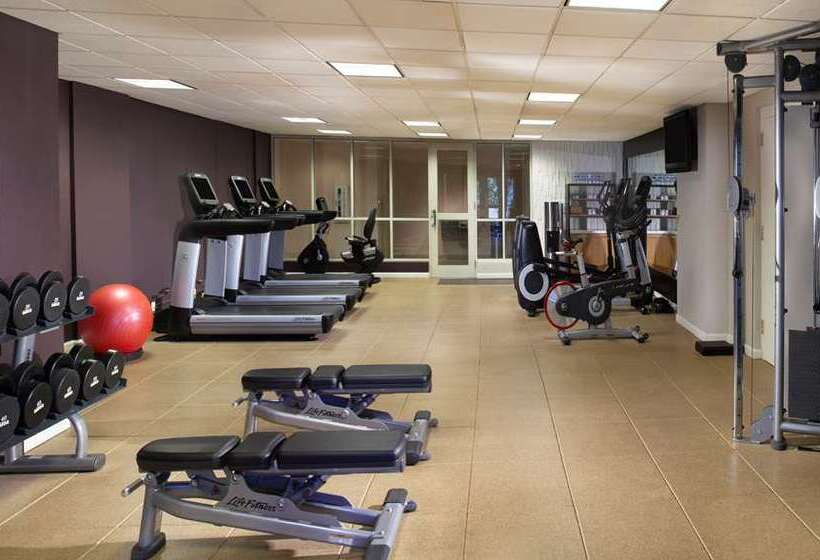 Отель Hilton Alexandria Old Town