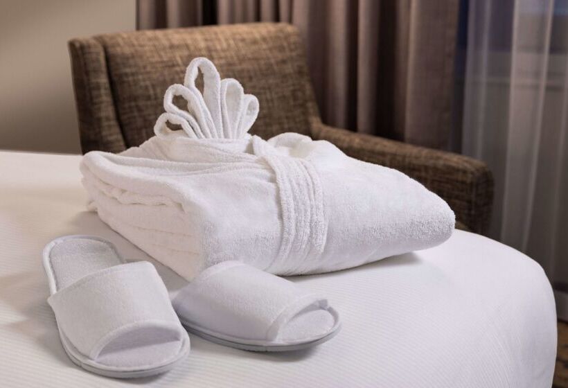 בית מלון כפרי Hilton Americashouston