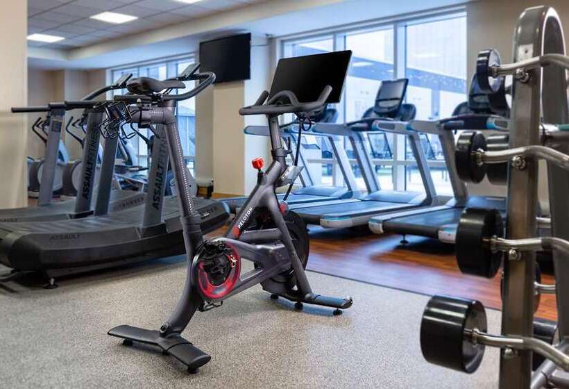 Отель Hilton Austin