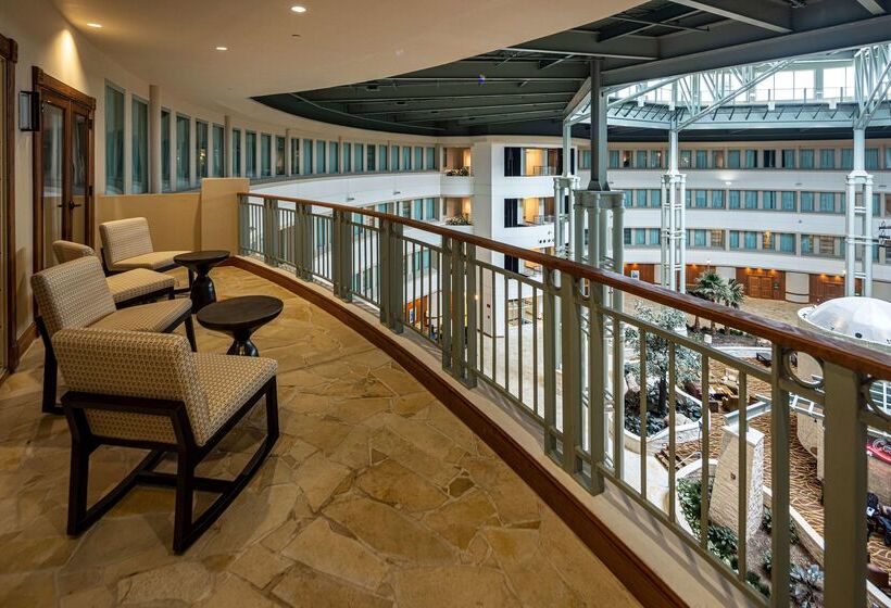 هتل Hilton Austin Airport