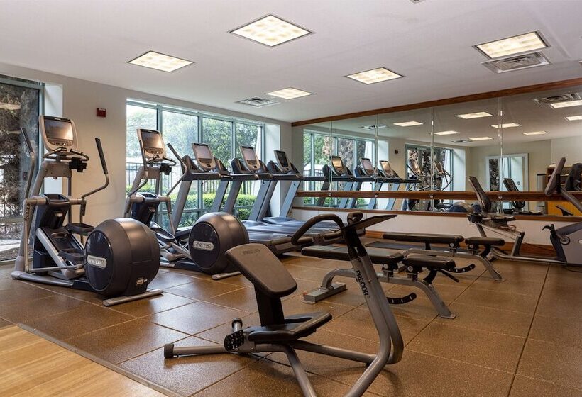 فندق Hilton Austin Airport