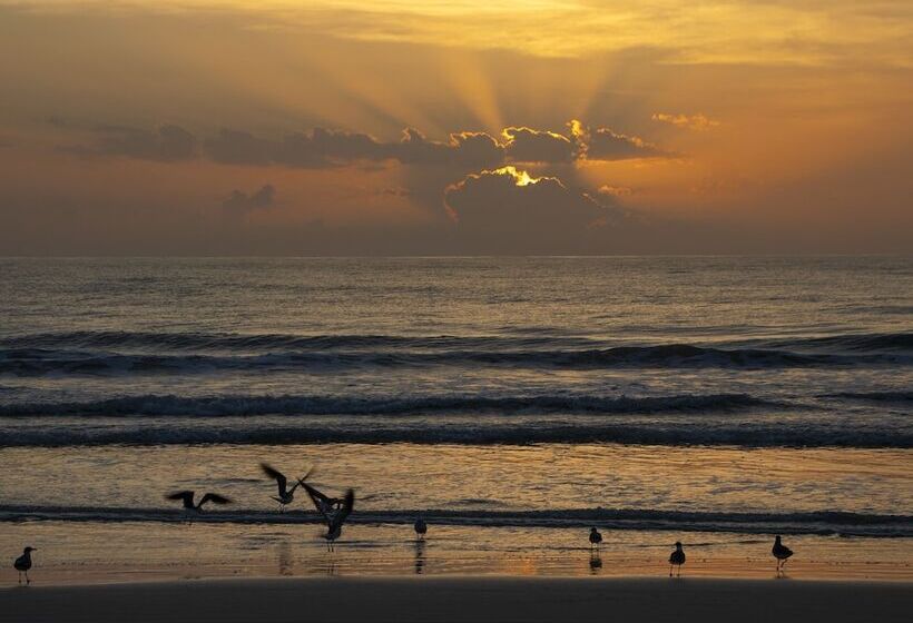 فندق Hilton Daytona Beach Oceanfront Resort