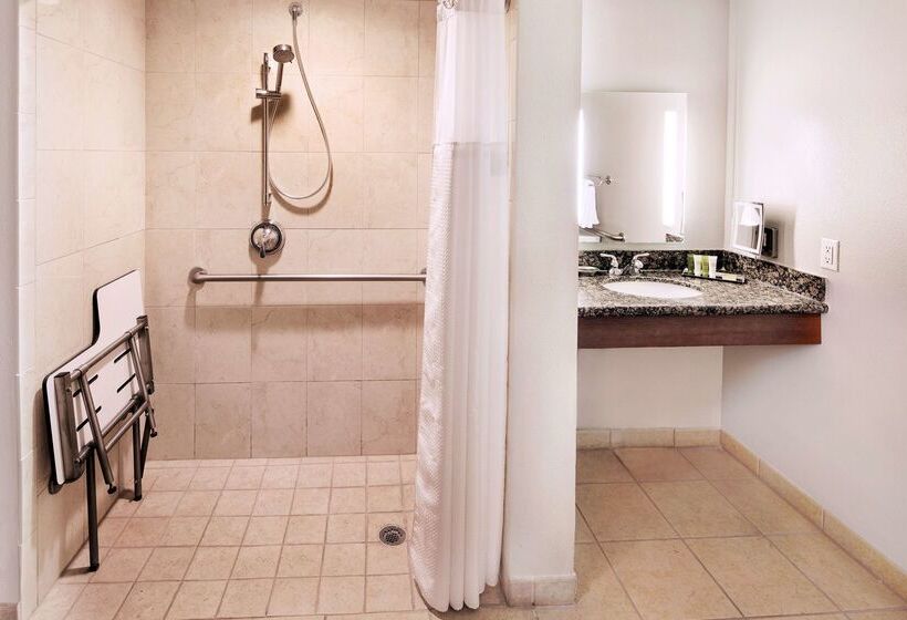 酒店 Hilton Grand Vacations Club Tuscany Village Orlando