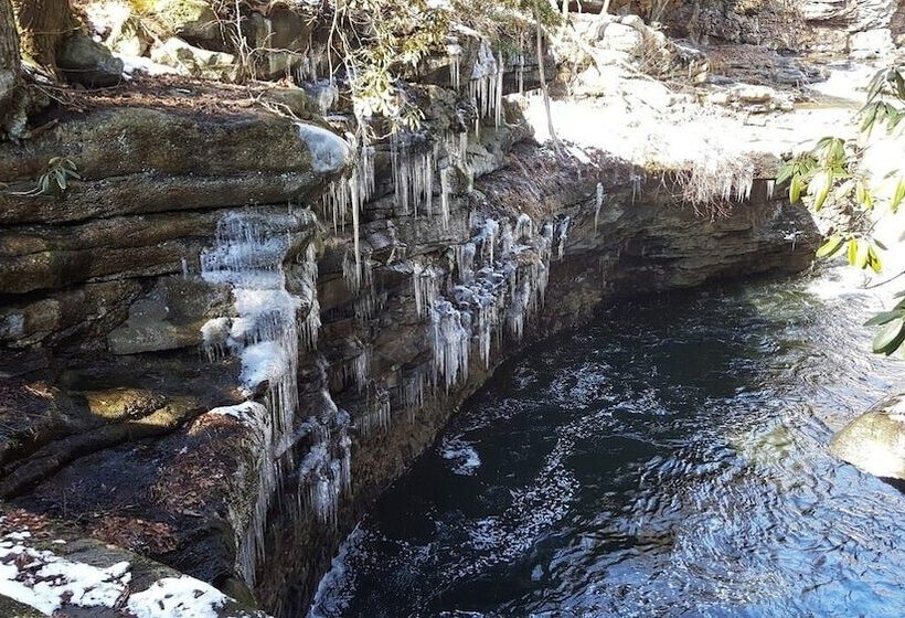 هتل Hilton Scranton & Conference Center