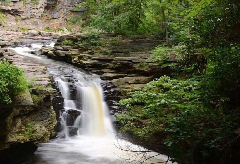 هتل Hilton Scranton & Conference Center