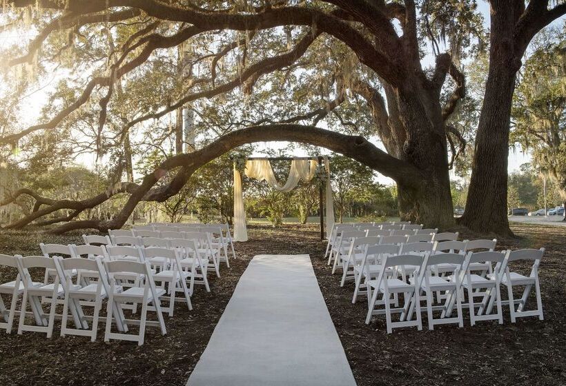 فندق Hilton University Of Florida Conference Center Gainesville