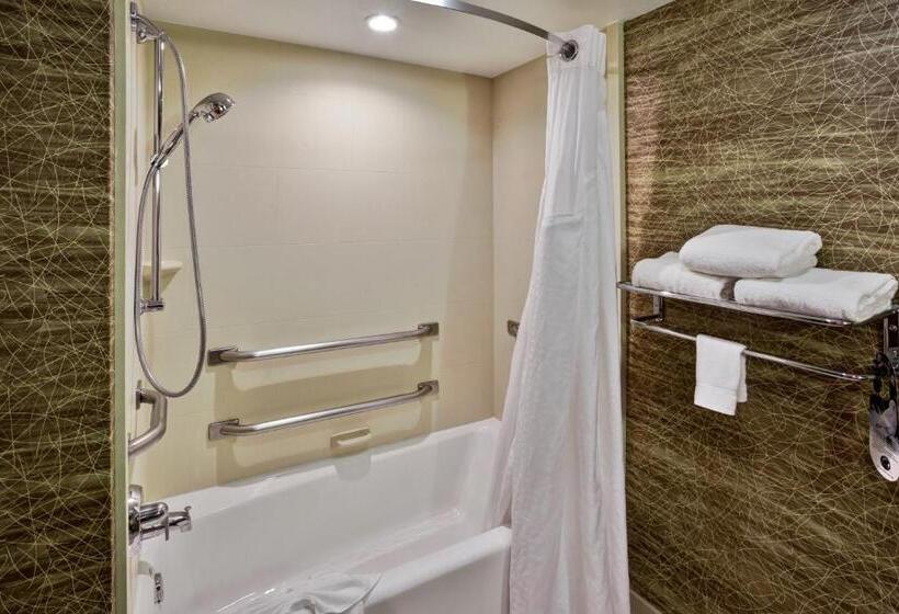 Holiday Inn Hotel & Suites Chicago Northwest   Elgin, An Ihg