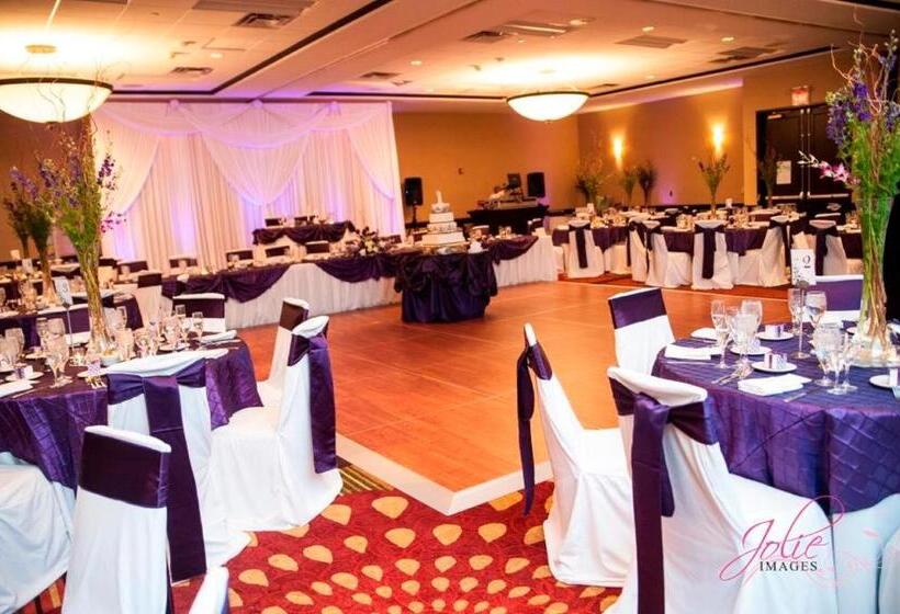 Holiday Inn Hotel & Suites Chicago Northwest   Elgin, An Ihg