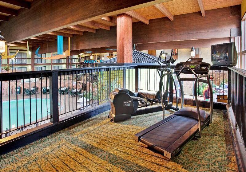 فندق Holiday Inn At Six Flags Saint Louis, An Ihg