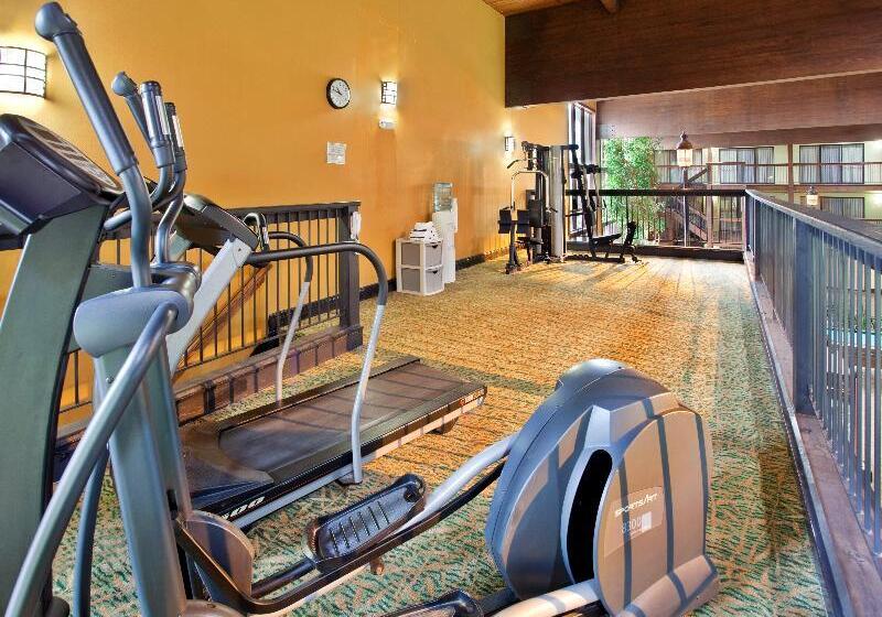 فندق Holiday Inn At Six Flags Saint Louis, An Ihg