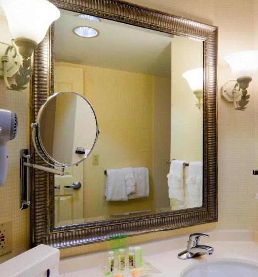 호텔 Holiday Inn Chantilly Dulles Expo Airport, An Ihg