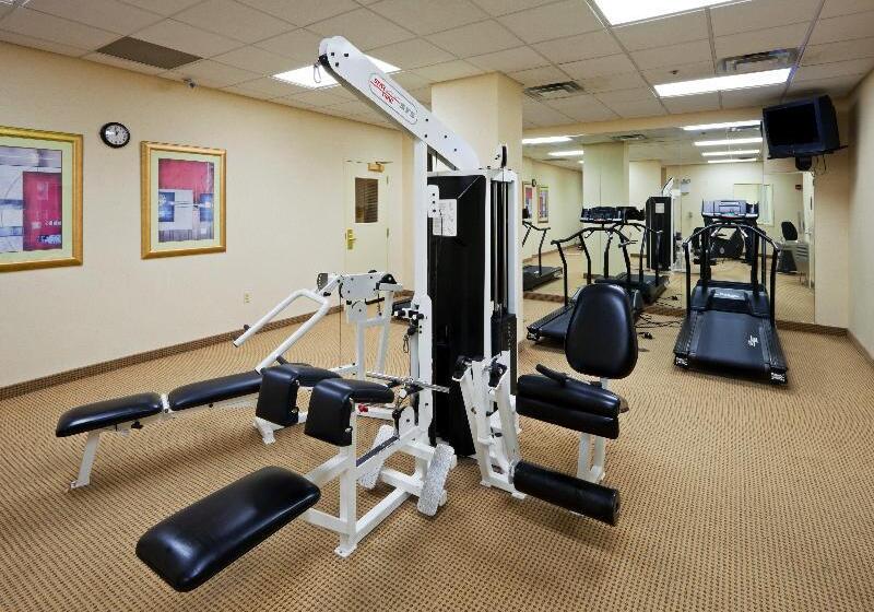 호텔 Holiday Inn Chantilly Dulles Expo Airport, An Ihg