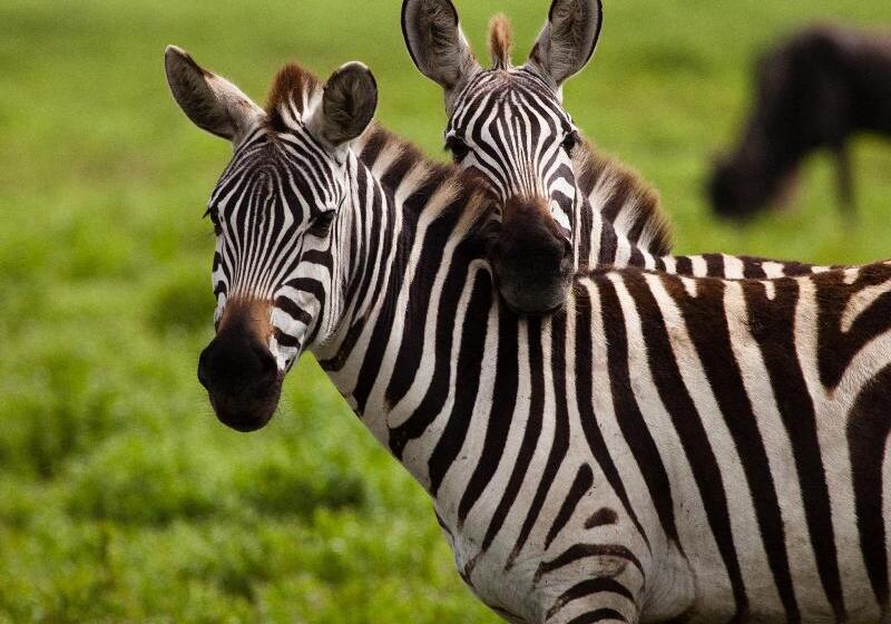 בית מלון כפרי Holiday Inn Express & Suites Lakeland South By Ihg