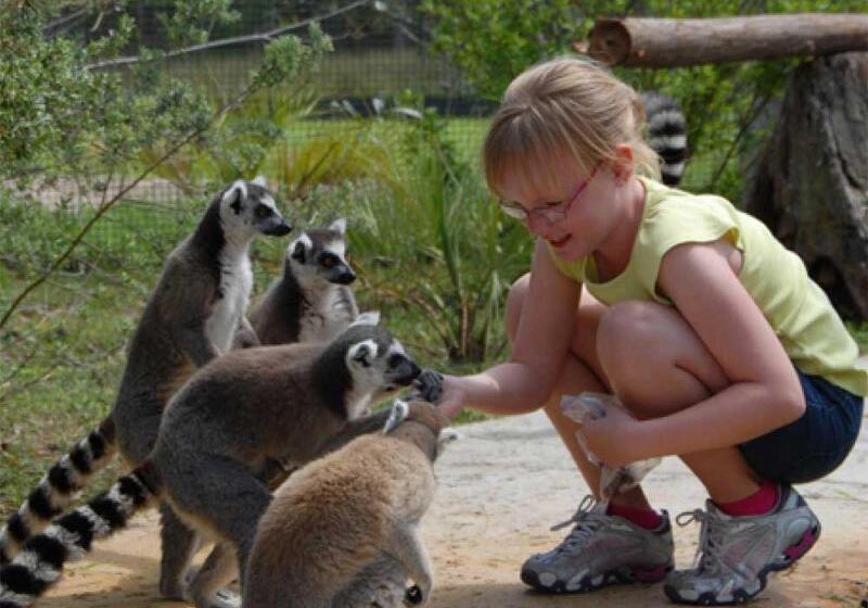 בית מלון כפרי Holiday Inn Express & Suites Lakeland South By Ihg