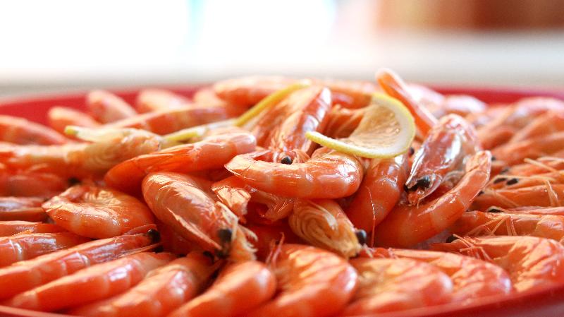 Hotel Holiday Inn Hohhot By Ihg