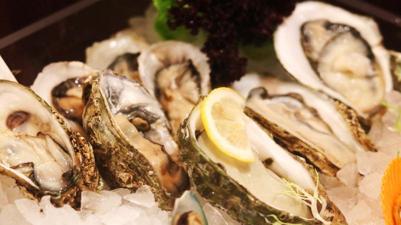 Hotel Holiday Inn Hohhot By Ihg