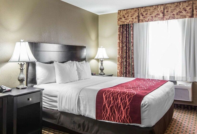 فندق Holiday Inn Kansas City Downtown By Ihg