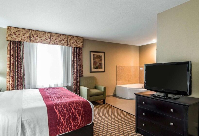 فندق Holiday Inn Kansas City Downtown By Ihg