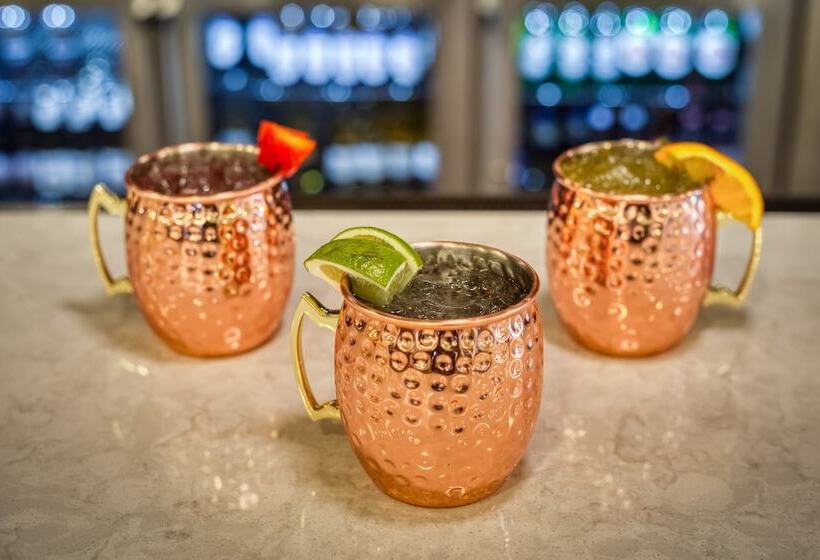 فندق Holiday Inn Kansas City Downtown By Ihg