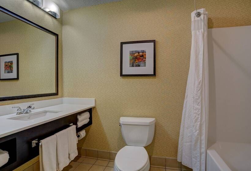 בית מלון כפרי Holiday Inn Milwaukee Airport, An Ihg