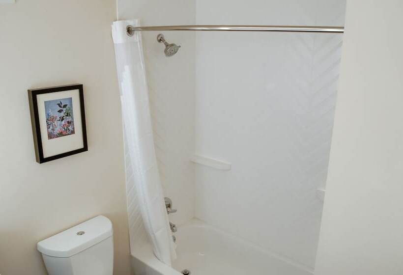 Отель Holiday Inn Mobile West I 10, An Ihg