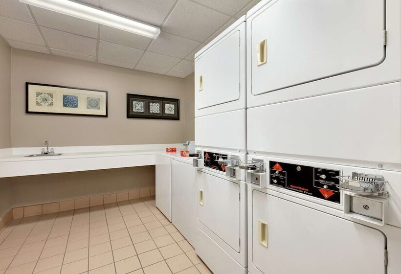 호텔 Homewood Suites By Hilton Dallasarlington