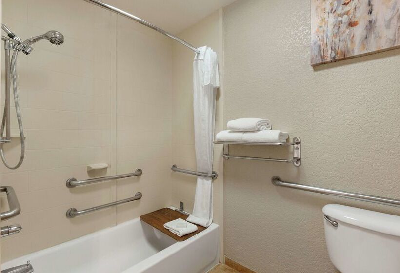 ホテル Homewood Suites By Hilton Dallas Dfw Airport N Grapevine