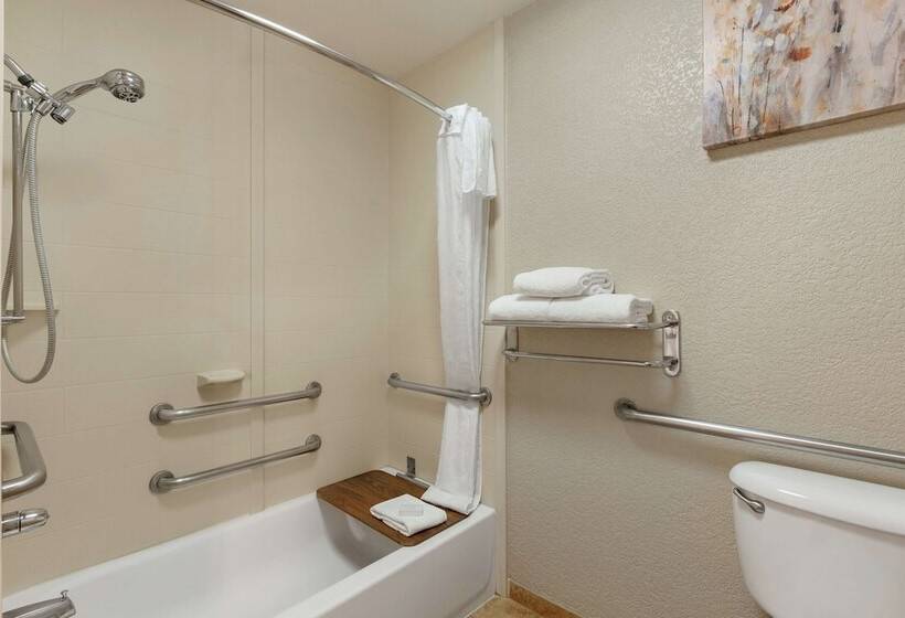 ホテル Homewood Suites By Hilton Dallas Dfw Airport N Grapevine