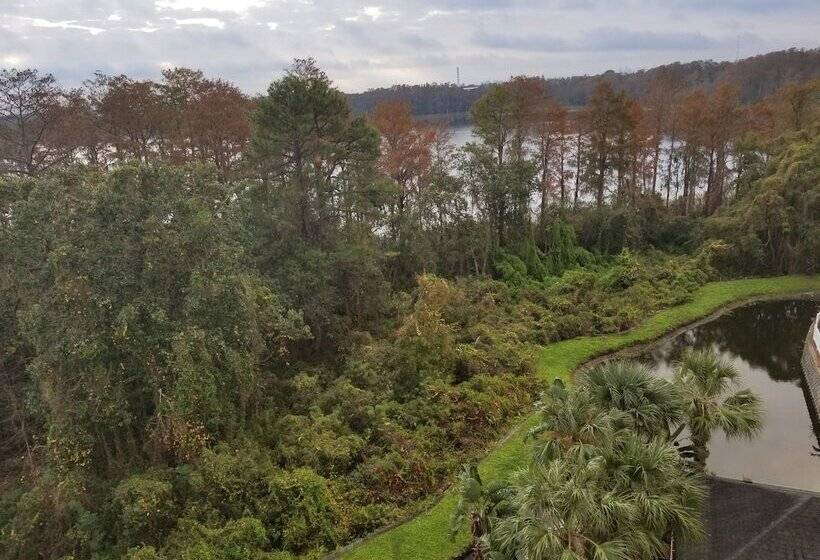 酒店 Homewood Suites By Hilton Orlandomaitland