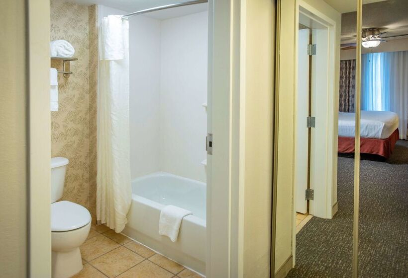 فندق Pensacola Suites