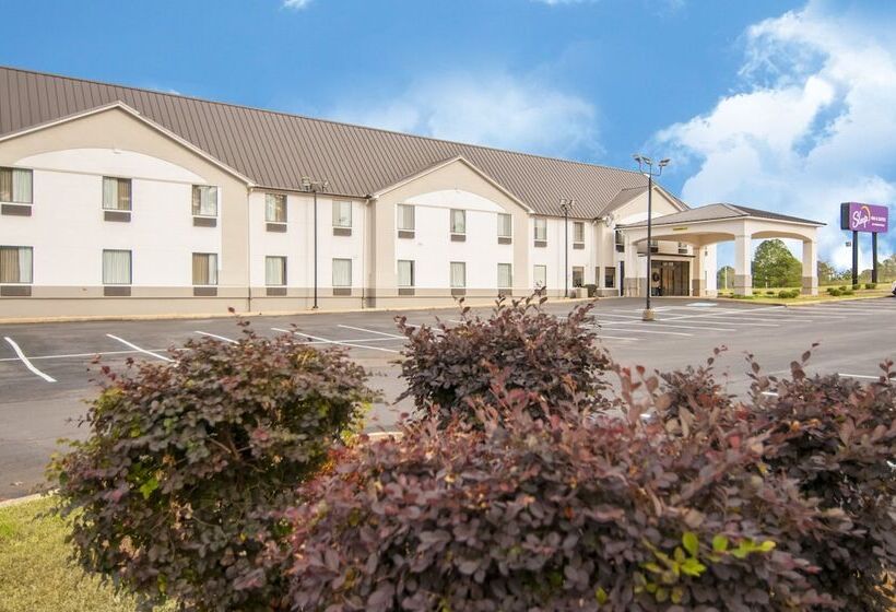 Отель Sleep Inn & Suites