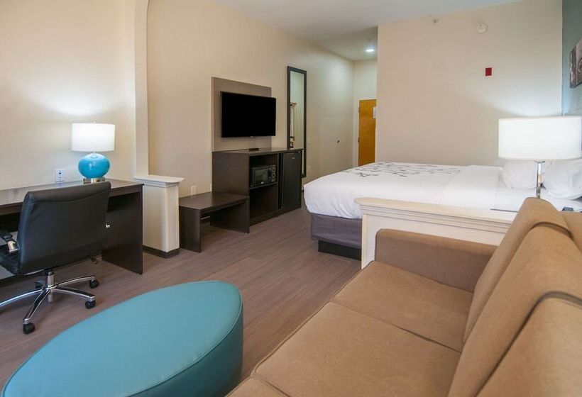Отель Sleep Inn & Suites