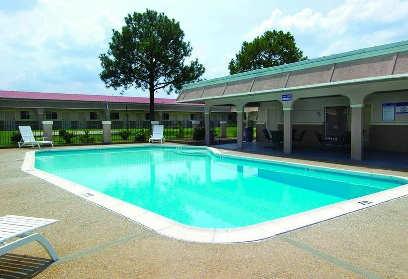 ホテル Mccoy   Art, Libations, Pool Society