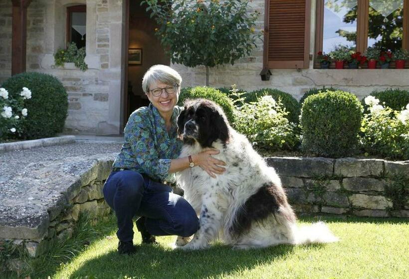 Отель Hôtel La Chouette