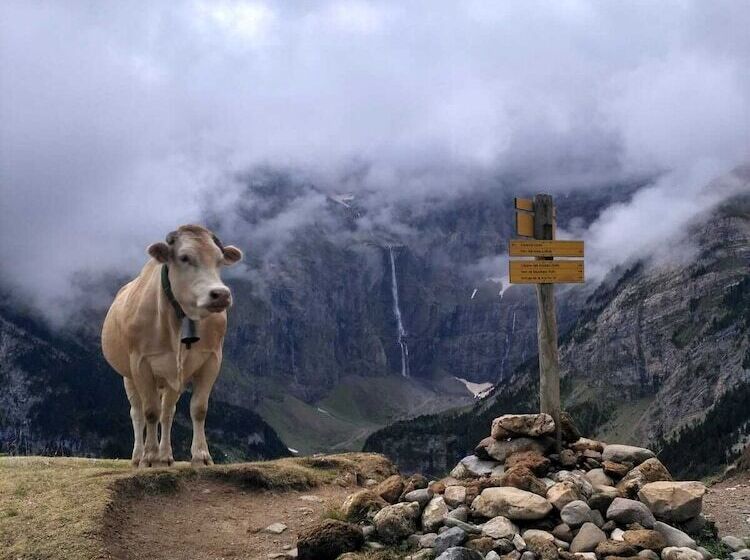 호텔 Hôtel Vignemale