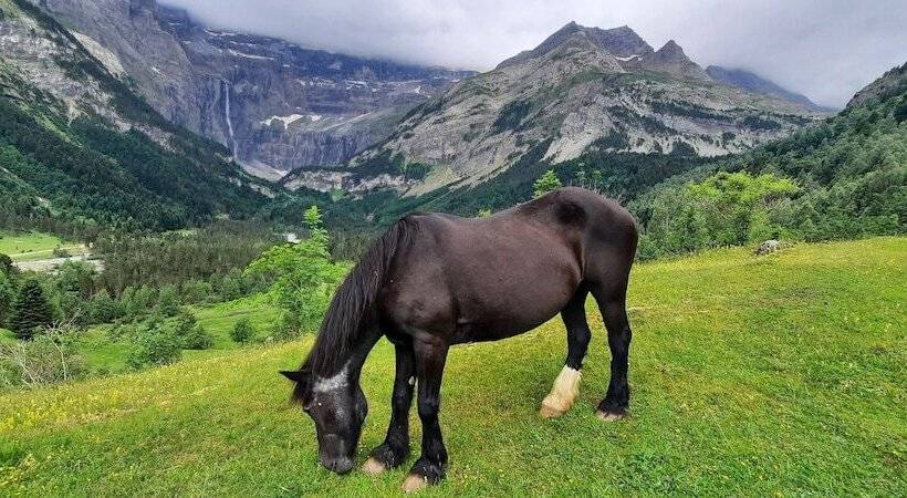 호텔 Hôtel Vignemale