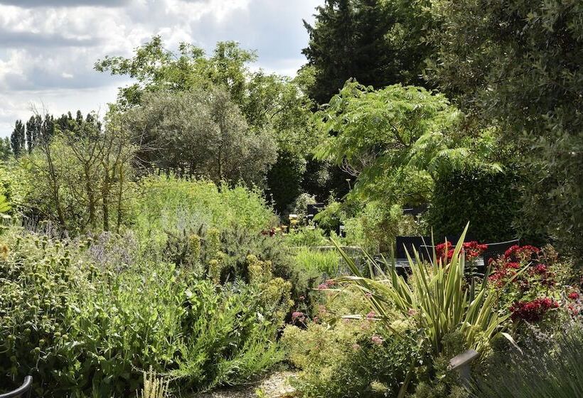 فندق Le Clair De La Plume   Teritoria