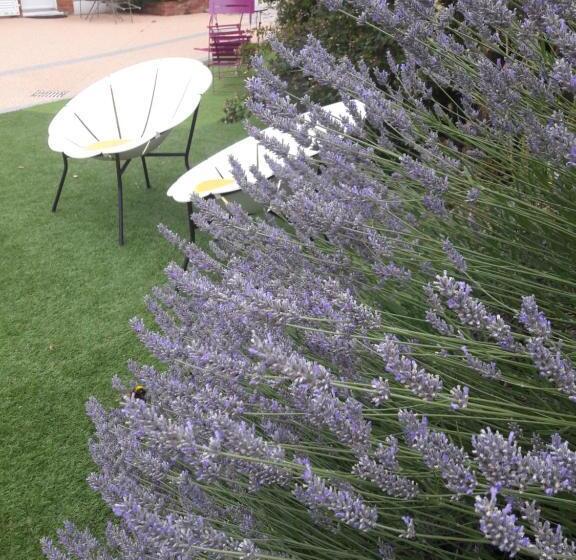 فندق Le Manoir De L Antiquite