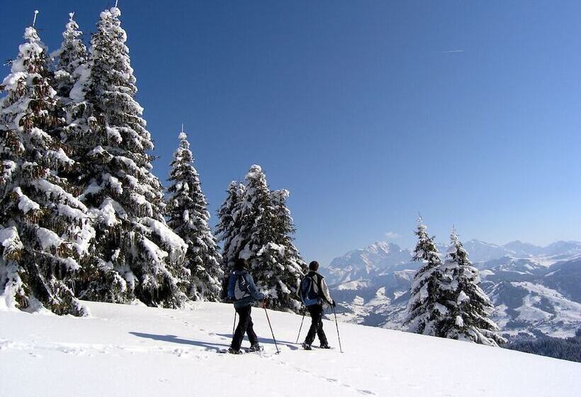酒店 Les Chalets De La Griyotire