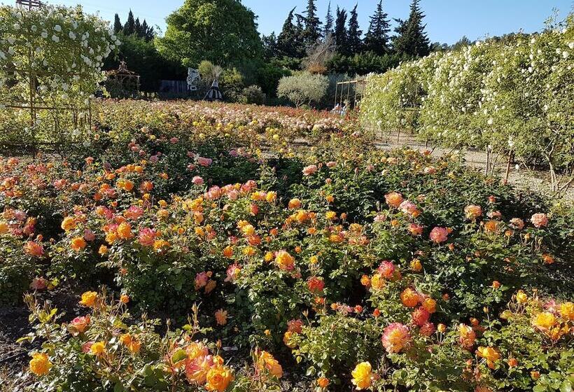 فندق Mas Des Figues   Mas Xviiie   Ouvert 01 Mai Au 30 Septembre 2025   Piscine Très Calme   Alpilles Sai