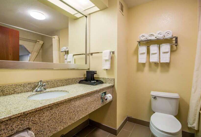 فندق Quality Inn & Suites