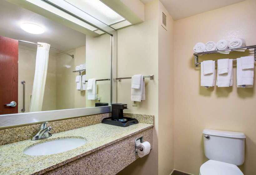 فندق Quality Inn & Suites