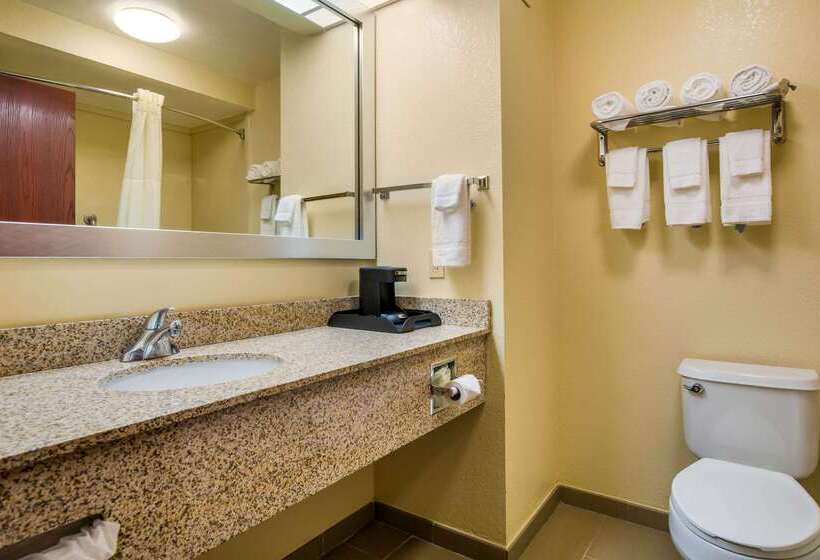 فندق Quality Inn & Suites