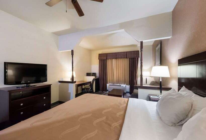 酒店 Quality Inn & Suites Terrell