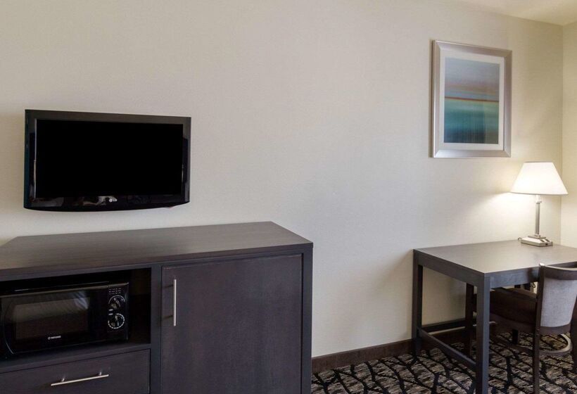 Отель Quality Inn Buffalo