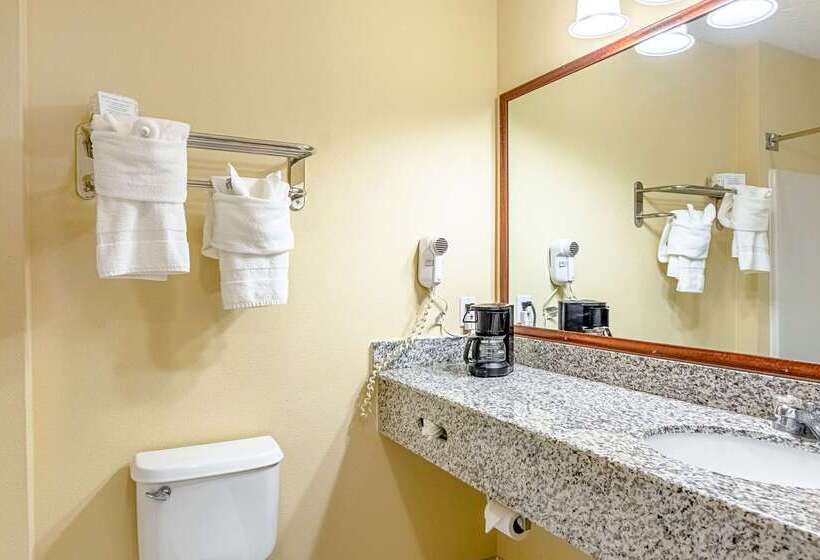 בית מלון כפרי Quality Inn Burkeville Hwy 360 & 460