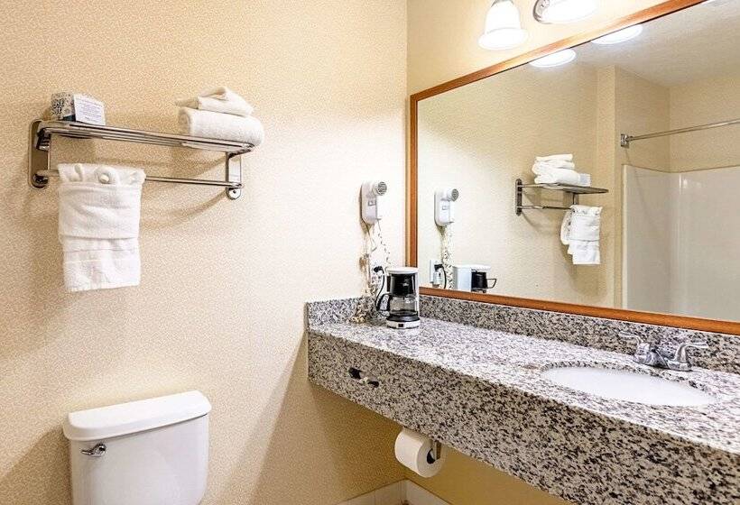 בית מלון כפרי Quality Inn Burkeville Hwy 360 & 460