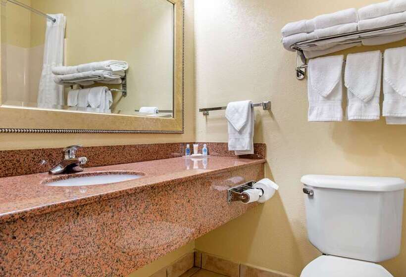 فندق Quality Inn Jacksonville Near I72