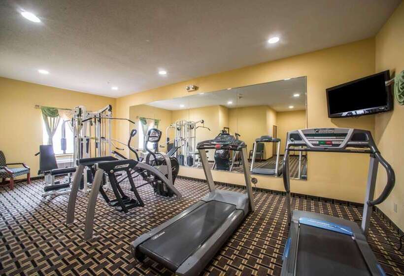 酒店 Quality Inn Litchfield Route 66
